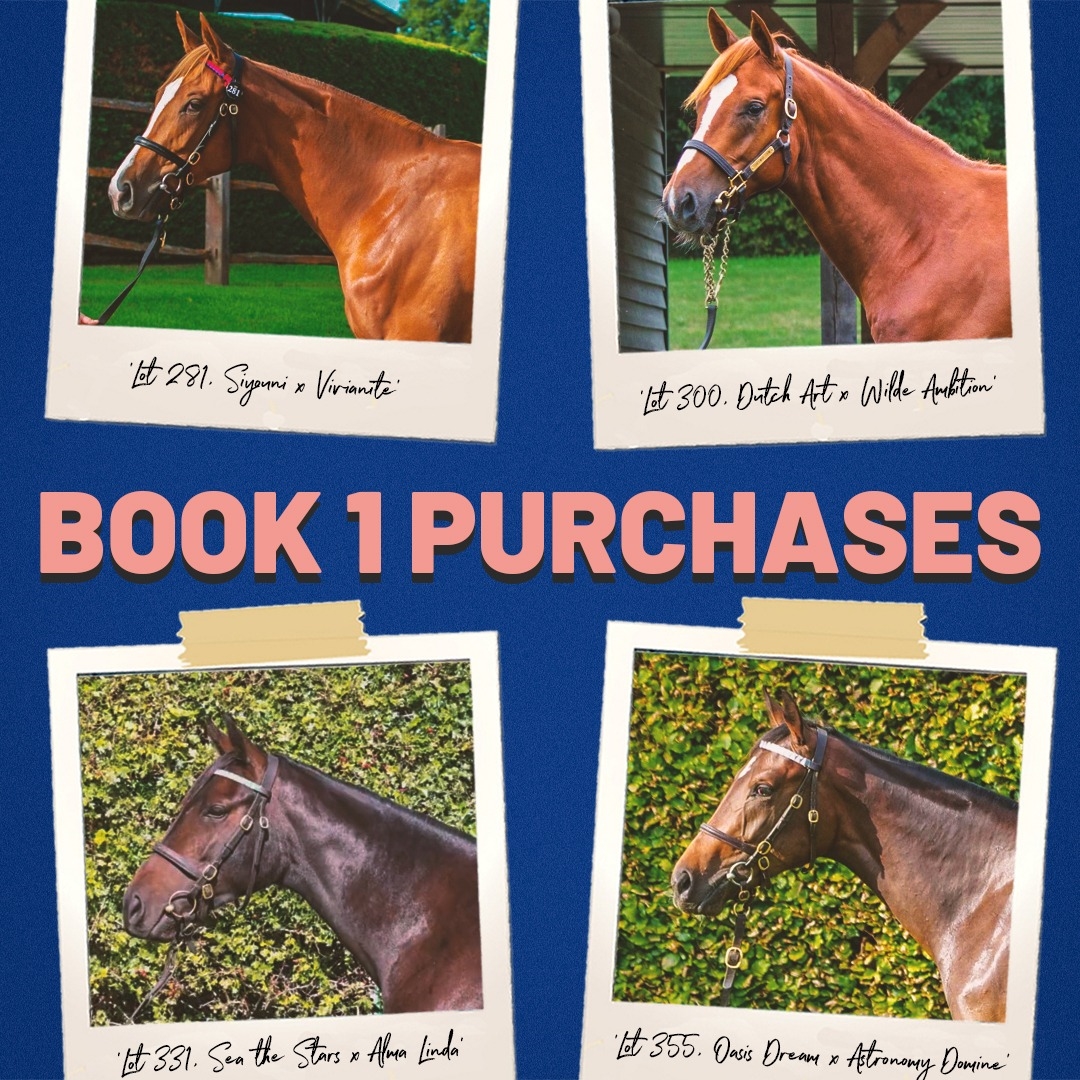 Tattersalls Book 1 Purchases